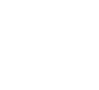 �X�����_�[�g�[���F�C���J